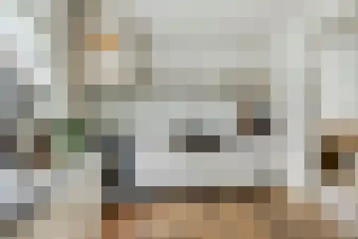 Romboutstraat 7 Andel thumbnail 9
