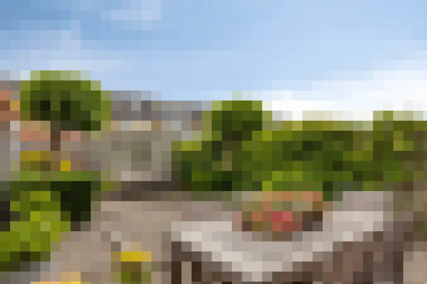 Romeet 3 Zuid-Beijerland thumbnail 29