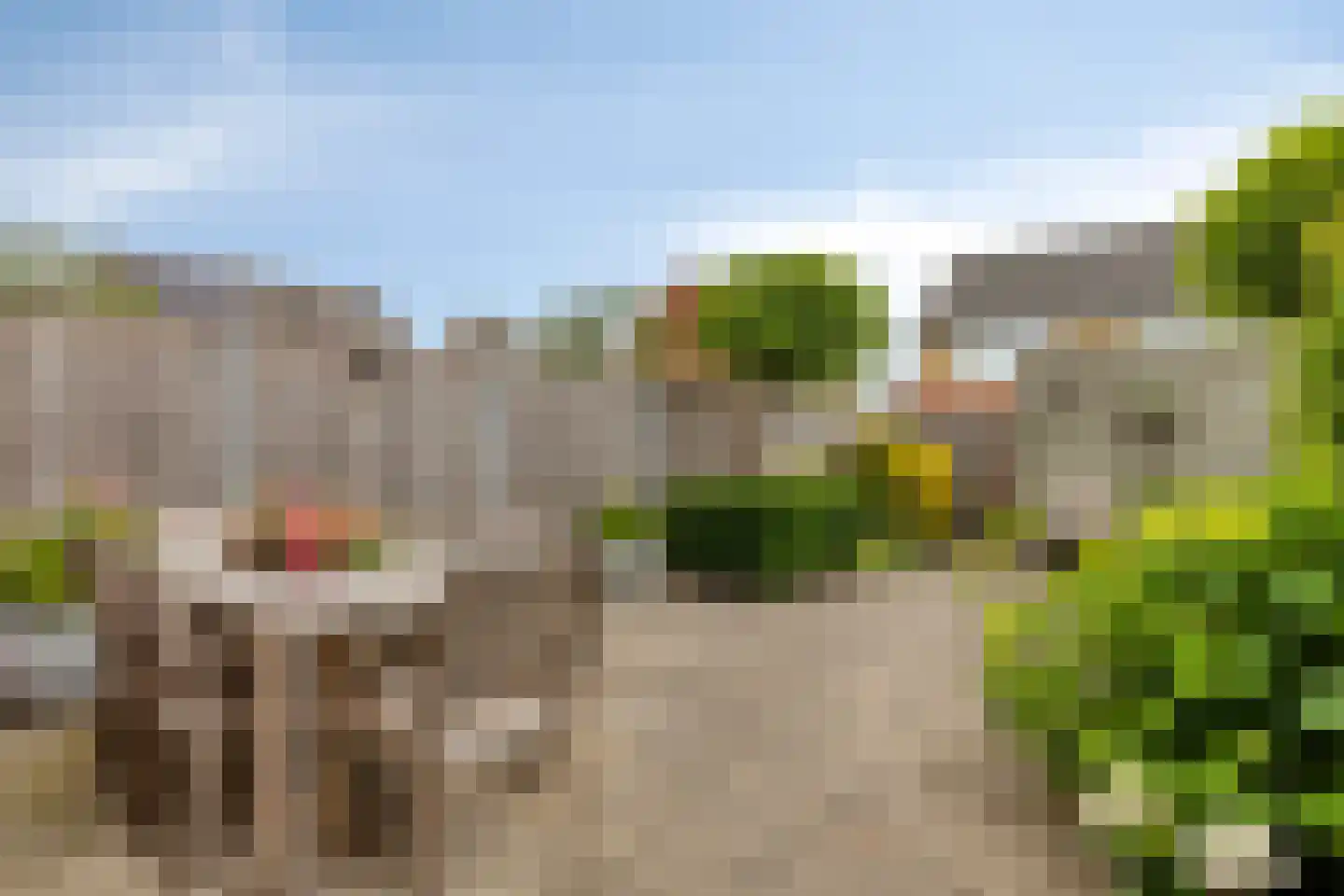 Romeet 3 Zuid-Beijerland thumbnail 30