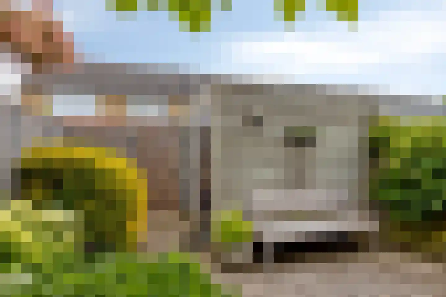 Romeet 3 Zuid-Beijerland thumbnail 32