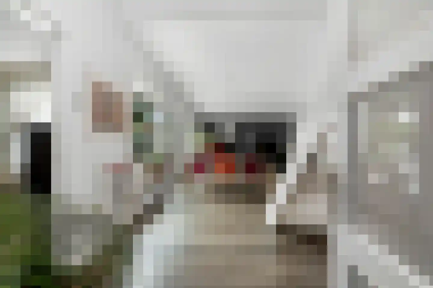 Romei 7 Zevenaar thumbnail 10