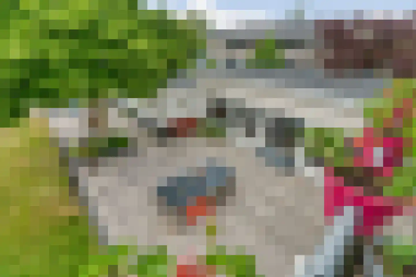 Romei 7 Zevenaar thumbnail 40
