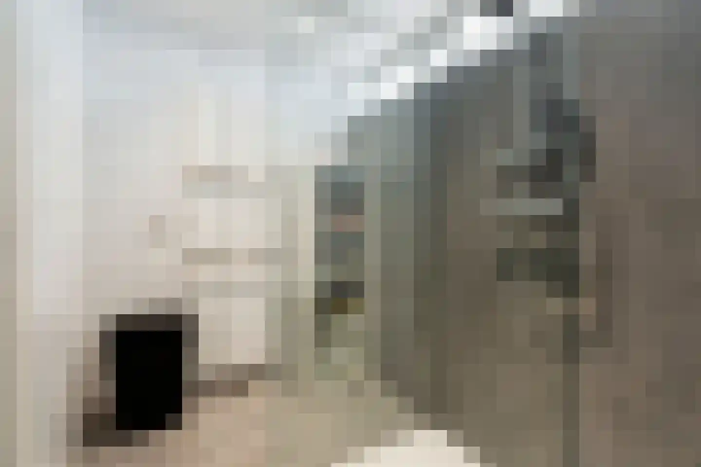 Romei 7 Zevenaar thumbnail 71