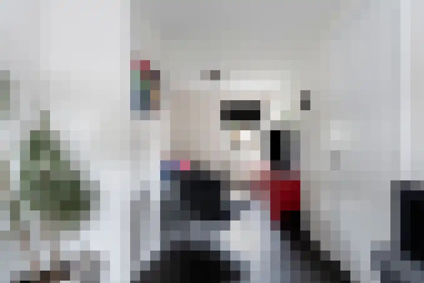 Romei 7 Zevenaar thumbnail 73