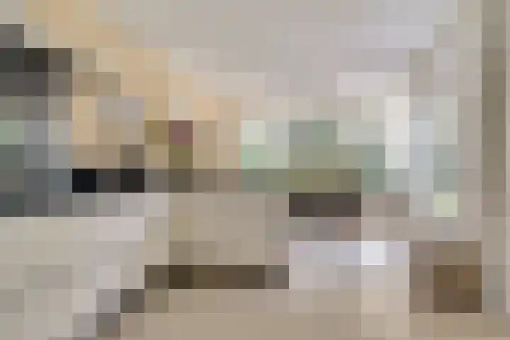 Romein 10 Elst thumbnail 10