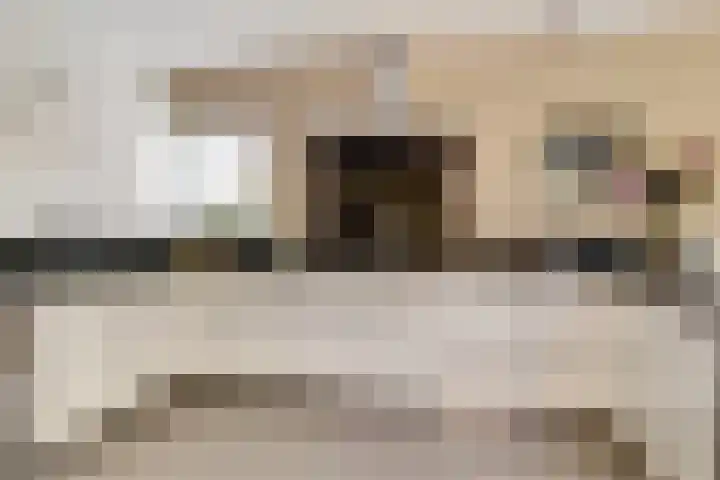 Romein 10 Elst thumbnail 11