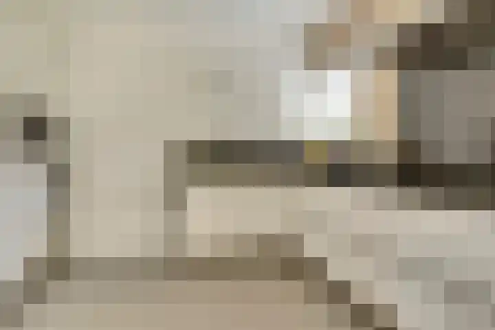 Romein 10 Elst thumbnail 12