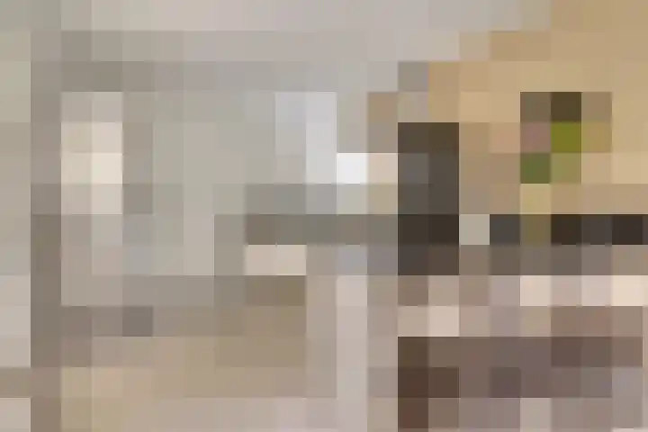 Romein 10 Elst thumbnail 13
