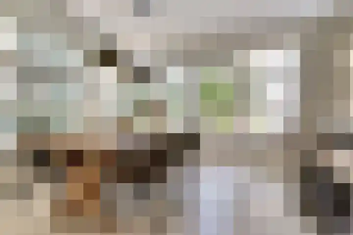 Romein 10 Elst thumbnail 14