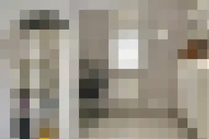 Romein 10 Elst thumbnail 17