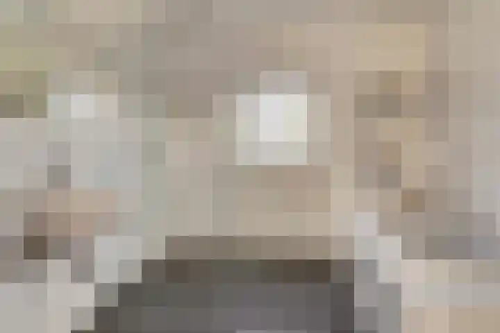 Romein 10 Elst thumbnail 21