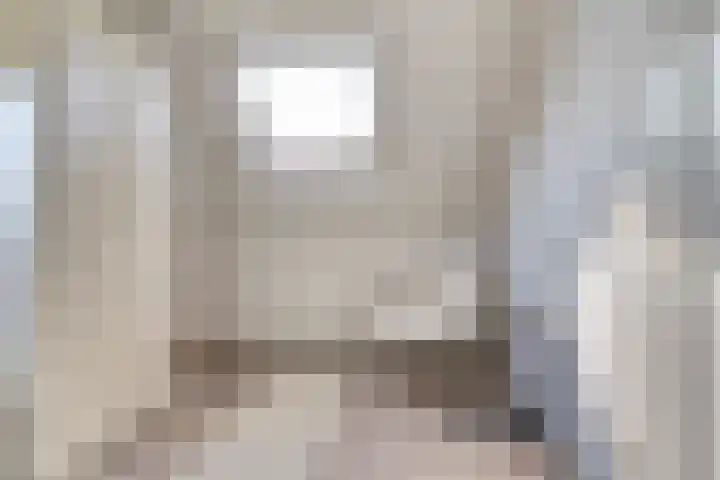 Romein 10 Elst thumbnail 32