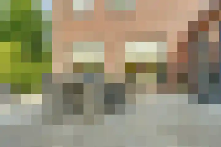 Romein 10 Elst thumbnail 38