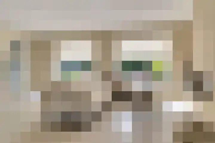 Romein 10 Elst thumbnail 4
