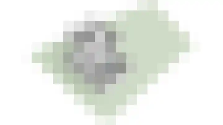 Romein 10 Elst thumbnail 43