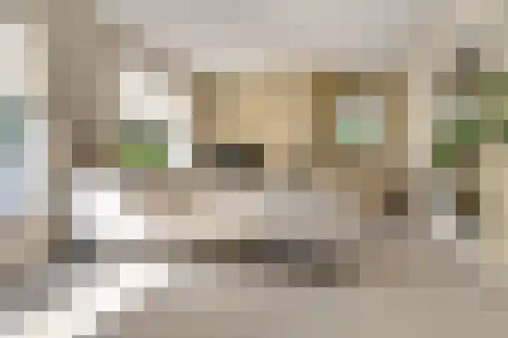 Romein 10 Elst thumbnail 6