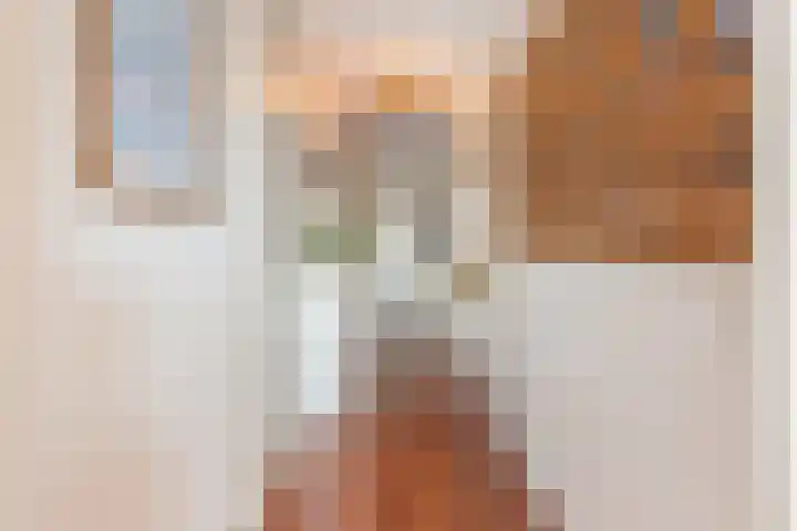 Romeinenlaan 30 Apeldoorn thumbnail 13