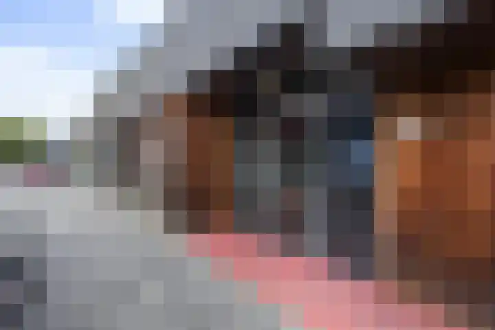 Romeinenlaan 30 Apeldoorn thumbnail 29