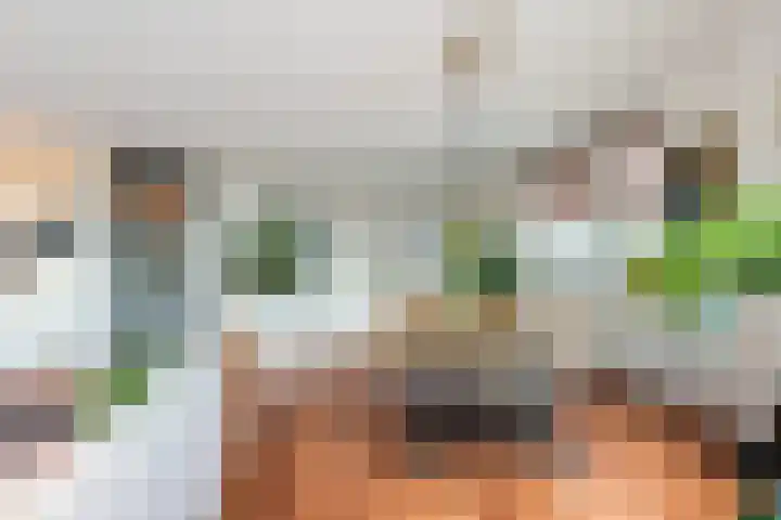 Romeinenlaan 30 Apeldoorn thumbnail 8