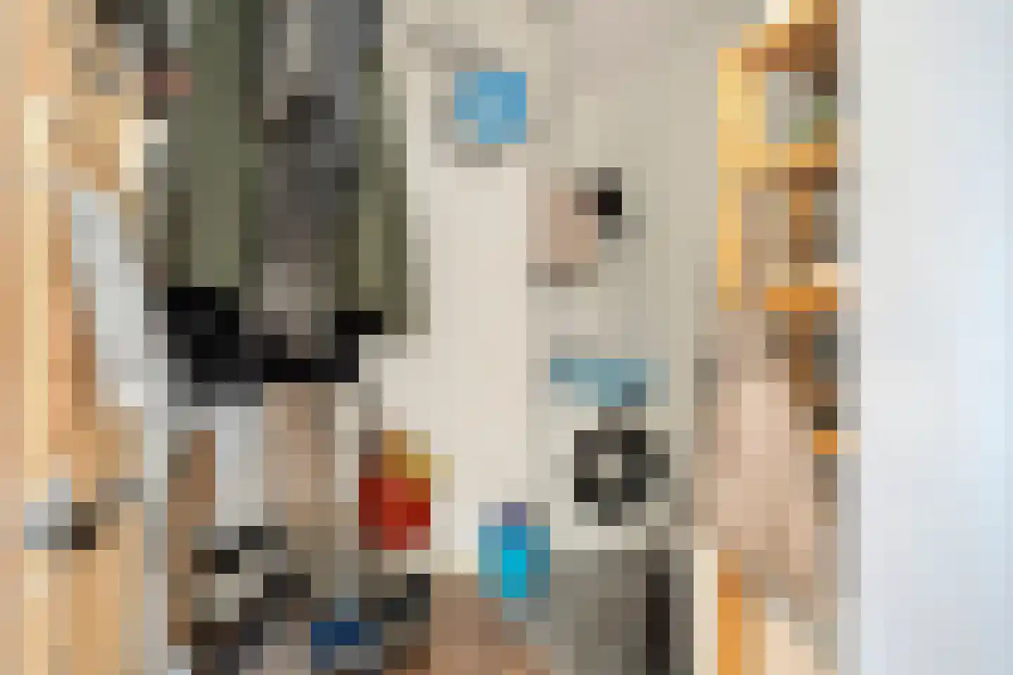 Romeinenlaan 32 Apeldoorn thumbnail 20