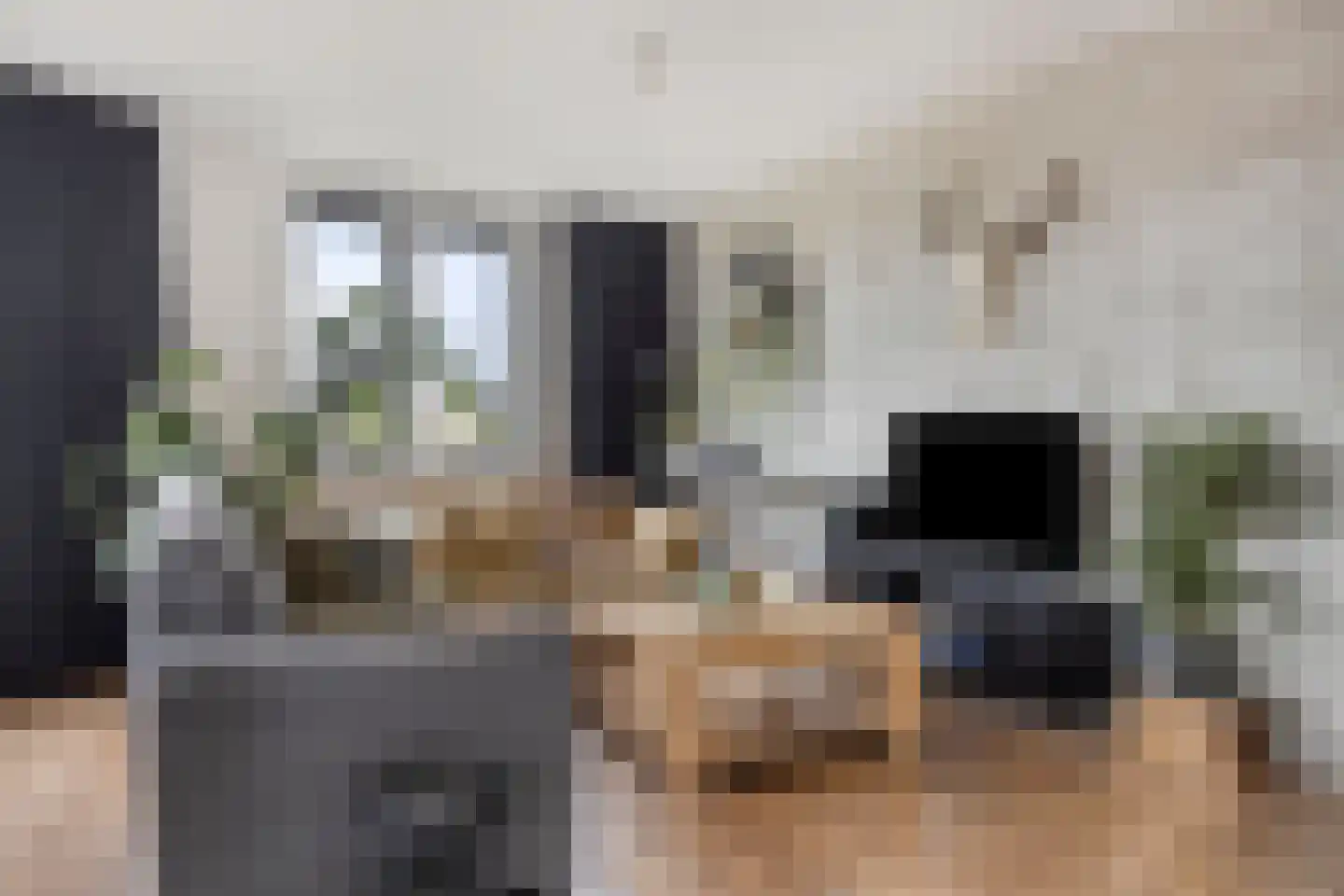 Romeinenlaan 32 Apeldoorn thumbnail 4