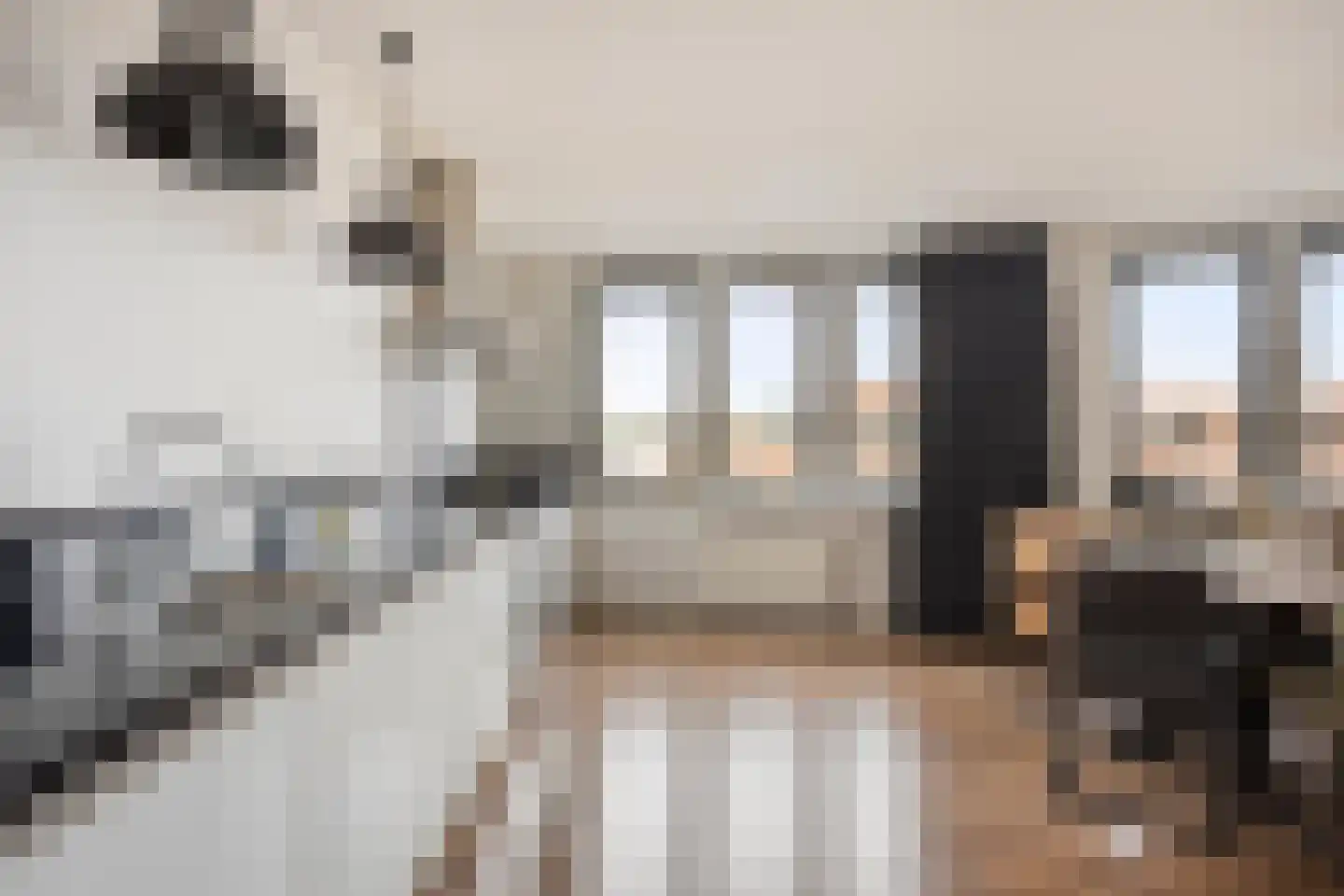 Romeinenlaan 32 Apeldoorn thumbnail 7