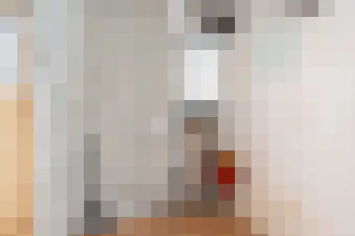 Romeinenlaan 36 Apeldoorn thumbnail 13