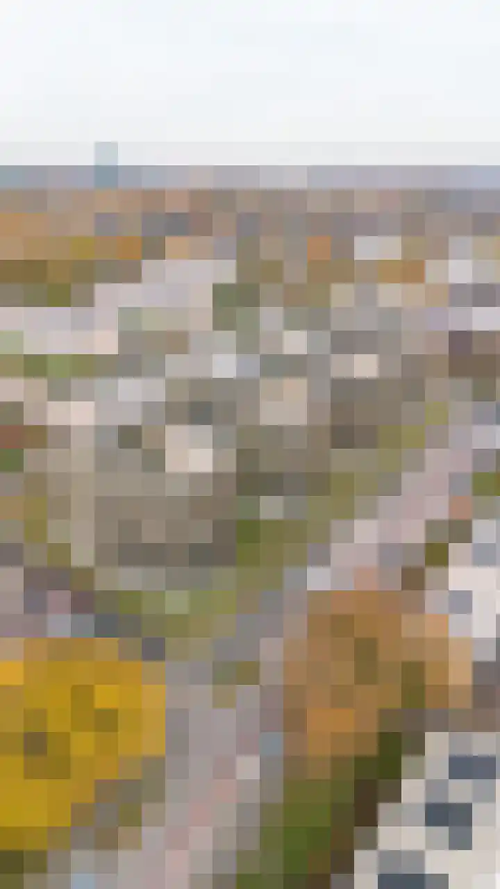 Romeinenlaan 54 Apeldoorn thumbnail 34