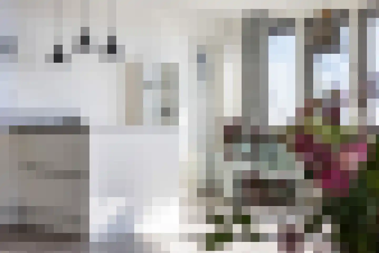 Romeinenlaan 74 Apeldoorn thumbnail 5