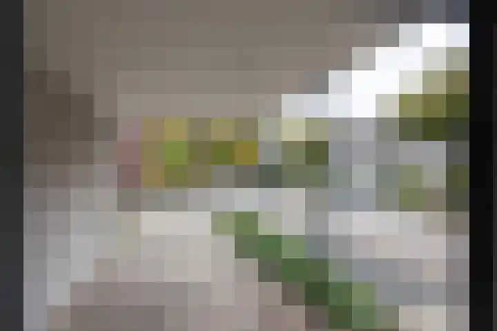Romeinenstraat 1 Mook thumbnail 11