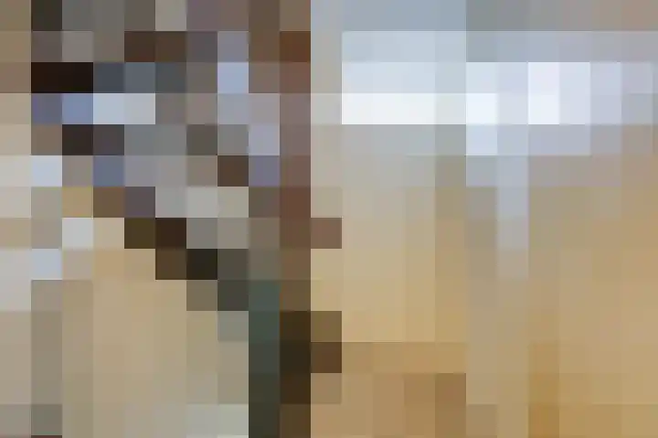 Romeinenstraat 1 Mook thumbnail 26