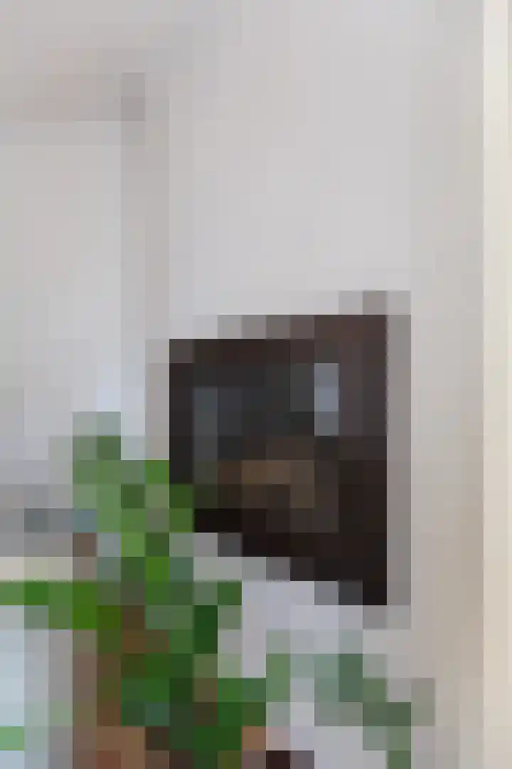 Romeinenstraat 1 Mook thumbnail 8