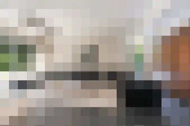 Romeinenstraat 1 Tilburg thumbnail 12