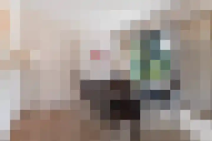 Romeinenstraat 1 Tilburg thumbnail 25