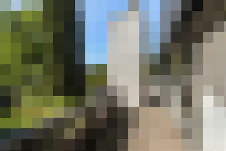 Romeinenstraat 1 Tilburg thumbnail 34