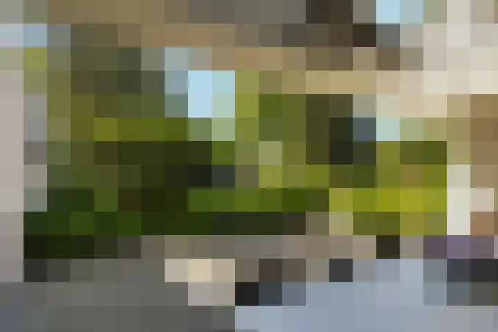 Romeinenstraat 1 Tilburg thumbnail 46