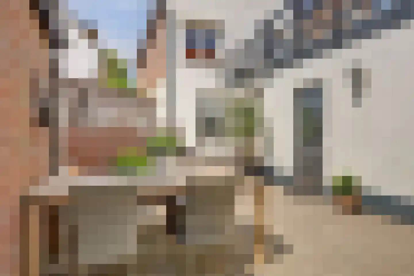 Romeinenstraat 13 Katwijk thumbnail 21