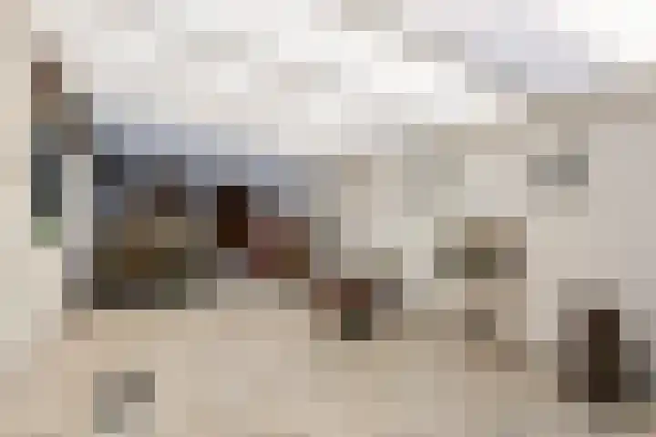 Romeinenstraat 13 Kerkrade thumbnail 36