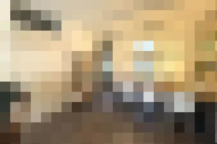 Romeinenstraat 13 Sittard thumbnail 5