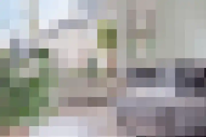 Romeinenstraat 15 Weert thumbnail 26