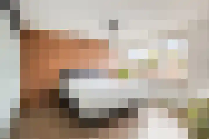 Romeinenstraat 15 Weert thumbnail 31