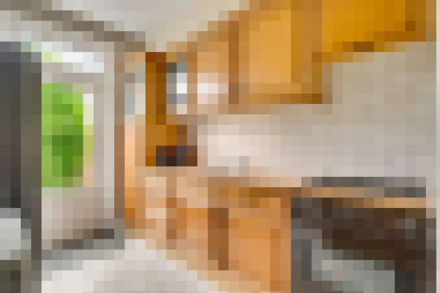 Romeinenstraat 20 Weert thumbnail 11