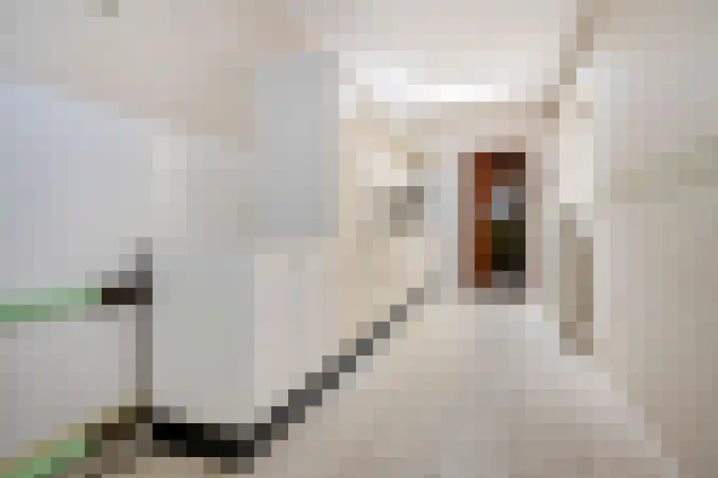 Romeinenstraat 22 Simpelveld thumbnail 11