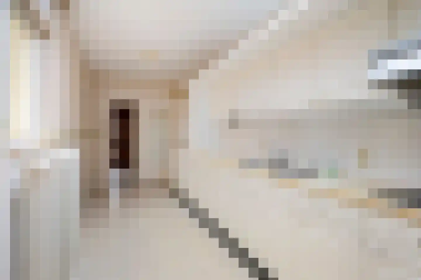 Romeinenstraat 22 Simpelveld thumbnail 12