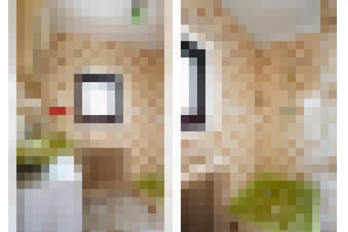 Romeinenstraat 22 Simpelveld thumbnail 25