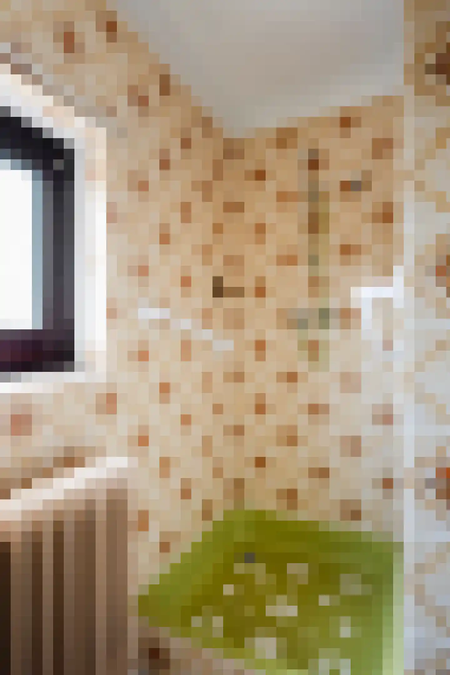 Romeinenstraat 22 Simpelveld thumbnail 26