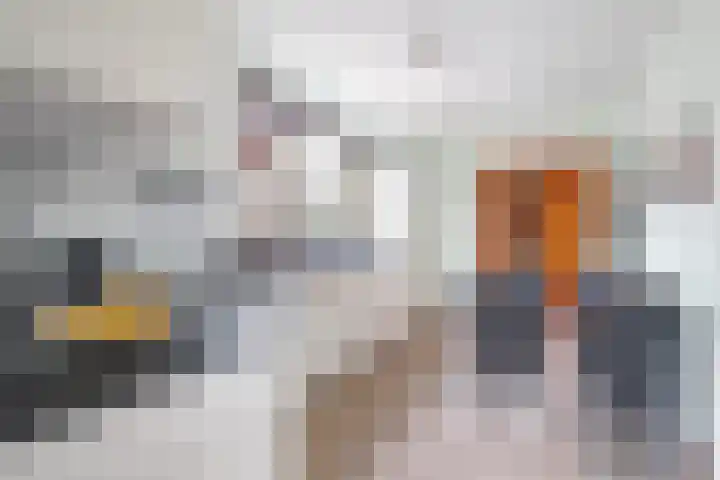 Romeinenstraat 3 Stein thumbnail 10