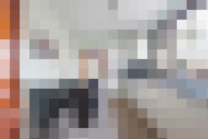 Romeinenstraat 3 Stein thumbnail 9