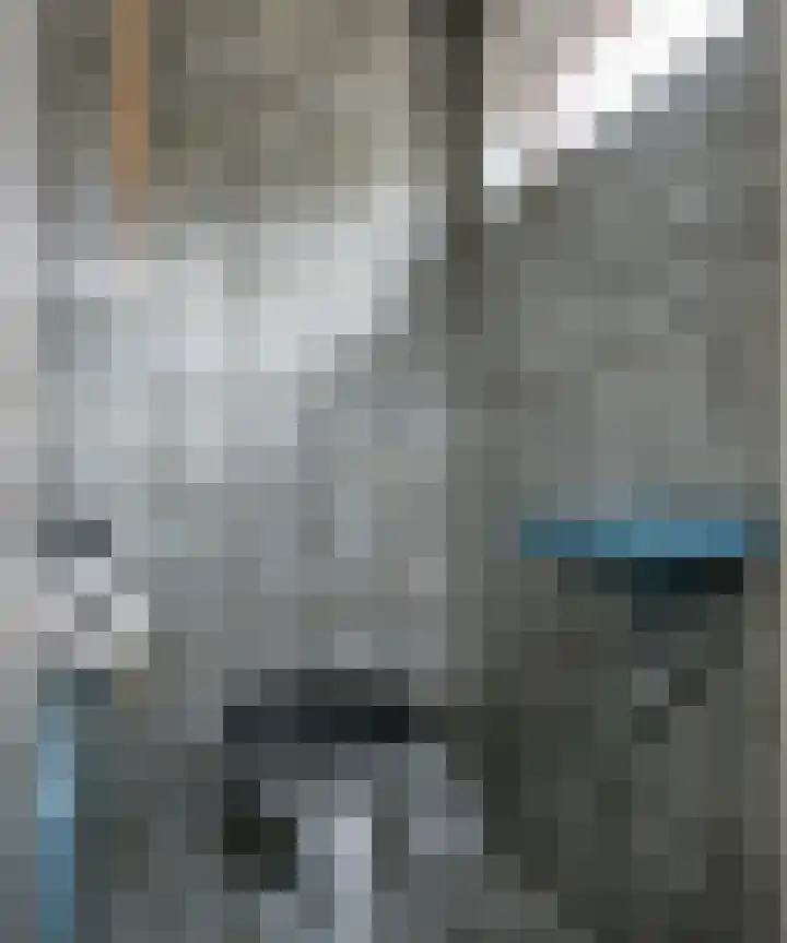 Romeinenstraat 48 Kerkrade thumbnail 11