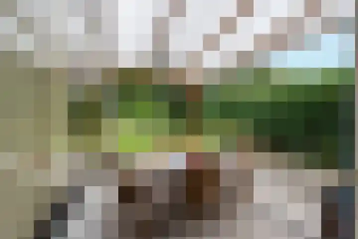 Romeinenstraat 48 Kerkrade thumbnail 20